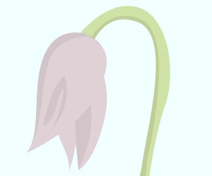 Skin thumbnail