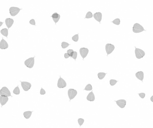 Skin thumbnail