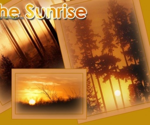 Skin thumbnail